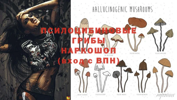 винт Алексин