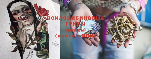 винт Алексин