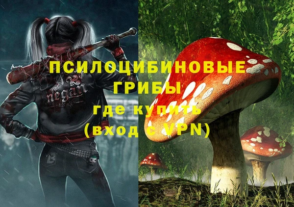 винт Алексин