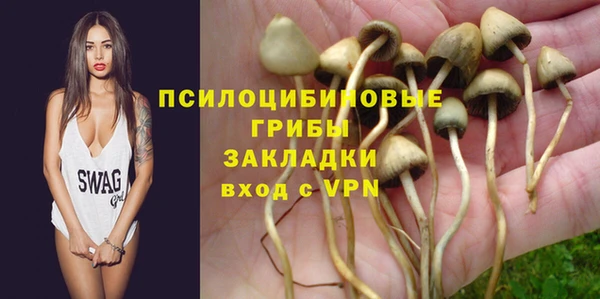 молекула духа Алзамай