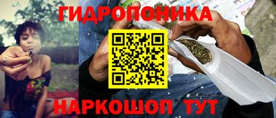 ешки Шелехов