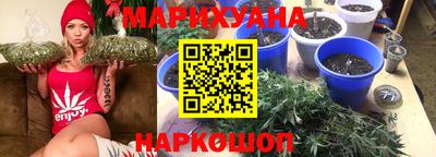 гидропоника Заволжье