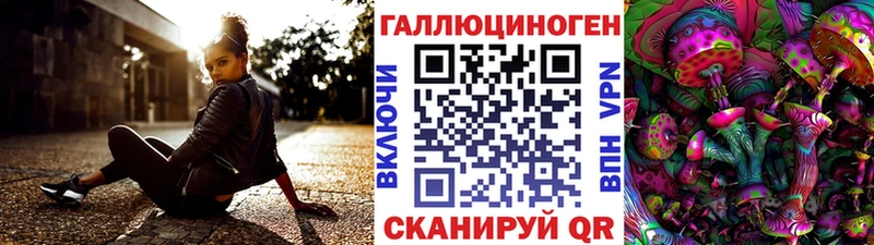 Галлюциногенные грибы Cubensis  купить   Нижний Новгород 