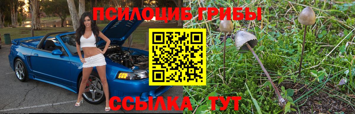 Галлюциногенные грибы прущие грибы Нижний Новгород