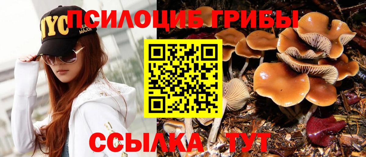 Галлюциногенные грибы Magic Shrooms  Вход с VPN  Нижний Новгород 